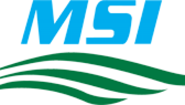 MSI Ship Management completes MESPAS implementation